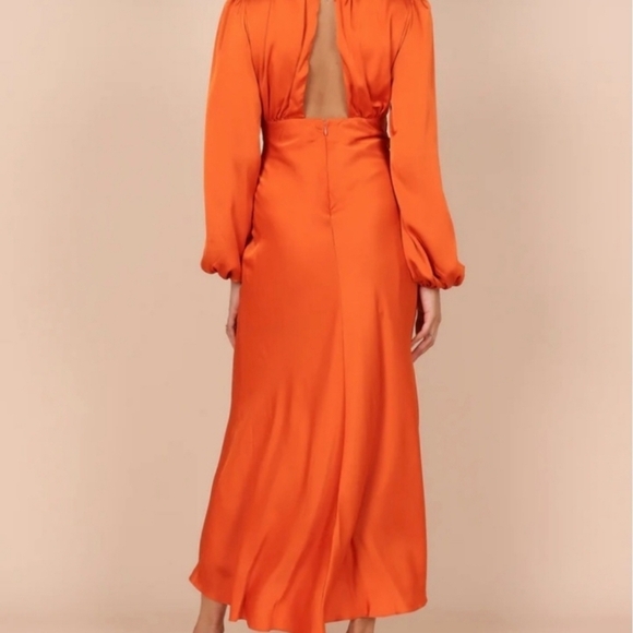 PETAL AND PUP MIDI DRESS - Picture 2 of 12